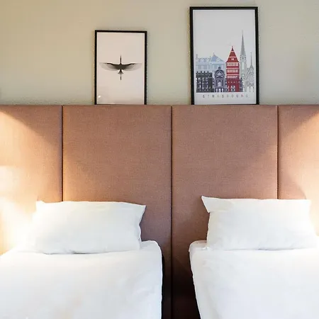 Ibis Centre Petite France Hotel 3*
