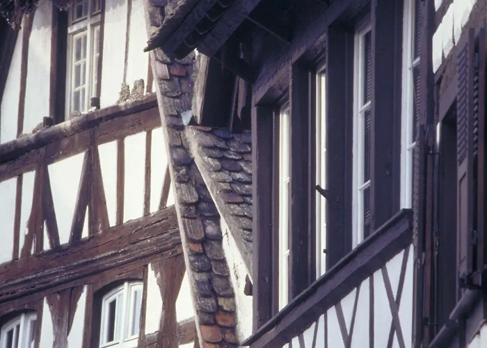 イビス サントル プティ フランス ホテル 3*